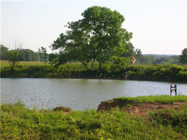 swimming hole